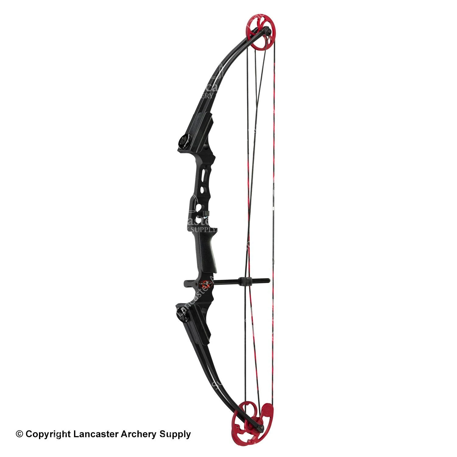 Genesis Archery Mini Genesis Bow (Colors) 4 Genesis Archery Mini Genesis Bow (Colors) - Image 2