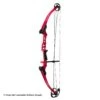 Genesis Archery Mini Genesis Bow (Colors) 1 Genesis Archery Mini Genesis Bow (Colors) -Barnett Store 1570004 red