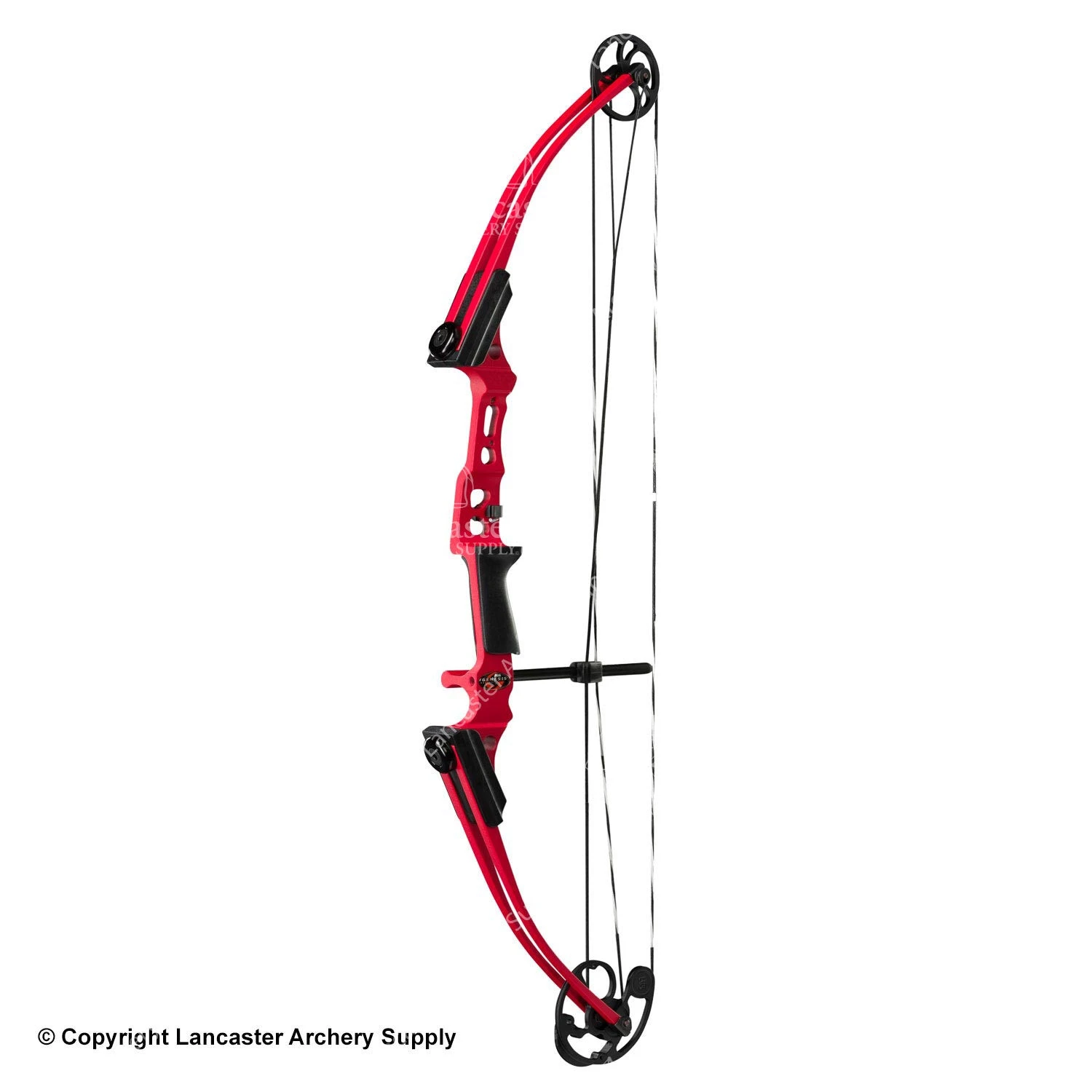 Genesis Archery Mini Genesis Bow (Colors) 3 Genesis Archery Mini Genesis Bow (Colors)