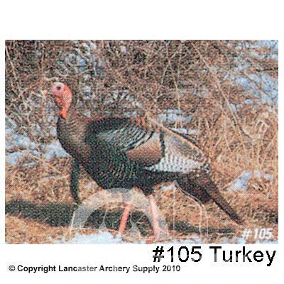 Delta McKenzie Tru-Life Small Animal Target Face 3 Delta McKenzie Tru-Life Small Animal Target Face