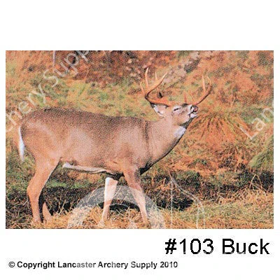 Delta McKenzie Tru-Life Large Animal Target Face 3 Delta McKenzie Tru-Life Large Animal Target Face