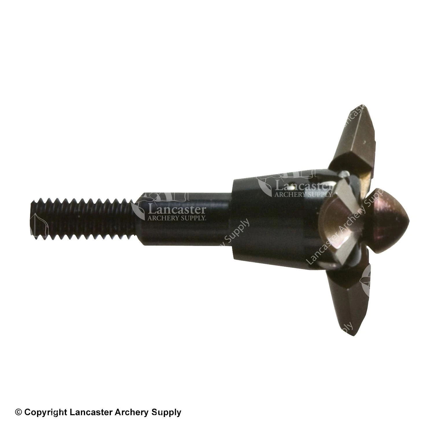 Easton V3 Expandable Varmint Points 3 Easton V3 Expandable Varmint Points