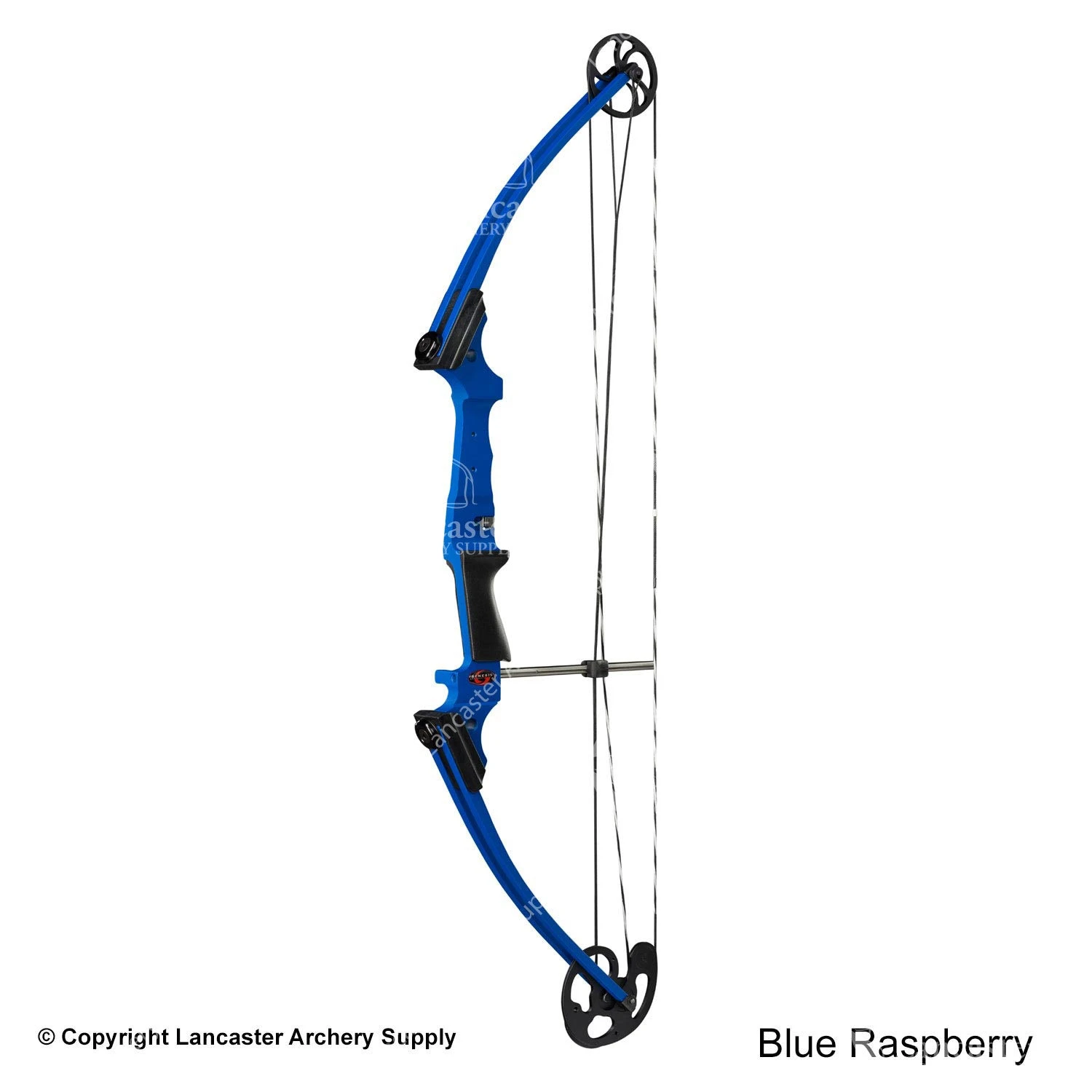 Genesis Archery Original Genesis Bow (Colors) 7 Genesis Archery Original Genesis Bow (Colors) - Image 5