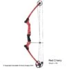 Genesis Archery Original Genesis Bow (Colors) 2 Genesis Archery Original Genesis Bow (Colors) -Barnett Store 3110064 redcherry