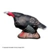 Delta McKenzie Gobbling Turkey Pro 3D Target 2 Delta McKenzie Gobbling Turkey Pro 3D Target -Barnett Store 3120048