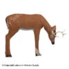 Delta McKenzie Medium Grazing Deer Pro 3D Target 2 Delta McKenzie Medium Grazing Deer Pro 3D Target -Barnett Store 3120213