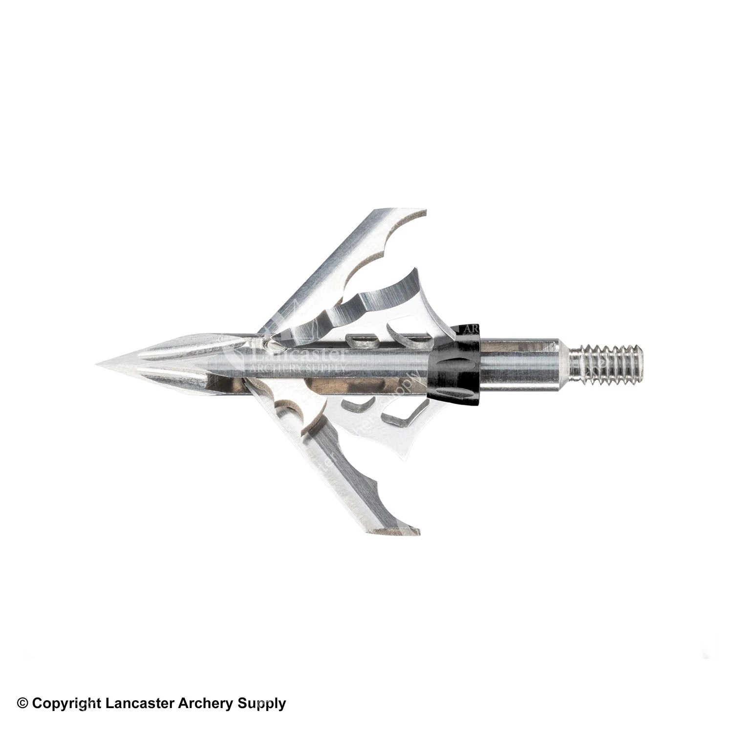 Muzzy HB-TI Broadheads 3 Muzzy HB-TI Broadheads