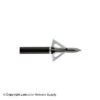 Wasp Drone Broadheads (100 Gr.) 2 Wasp Drone Broadheads (100 Gr.) -Barnett Store 4670043