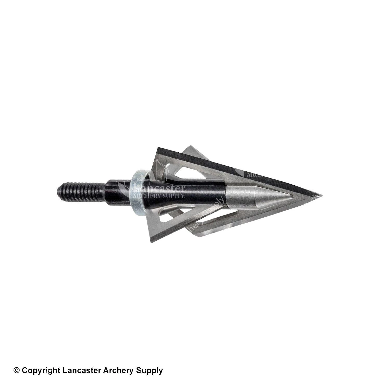 Wasp SharpShooter Traditional Broadheads 3 Wasp SharpShooter Traditional Broadheads