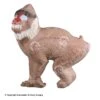 Rinehart Baboon Target 2 Rinehart Baboon Target -Barnett Store 5650029