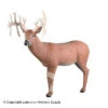 Rinehart 30 Pt. Buck Target 2 Rinehart 30 Pt. Buck Target -Barnett Store 5650174