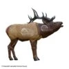 Rinehart 1/3 Scale Woodland Elk Target -Barnett Store 5650237
