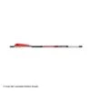 Bloodsport Witness Crossbow Arrows -Barnett Store 8500069