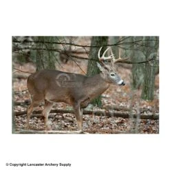 NiceTargets Deer Targets 11 NiceTargets Deer Targets -Barnett Store 8860002 broadright