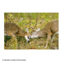 NiceTargets Deer Targets 14 NiceTargets Deer Targets -Barnett Store 8860002 fight