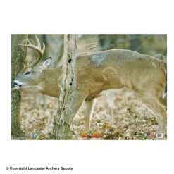 NiceTargets Deer Targets 15 NiceTargets Deer Targets -Barnett Store 8860002 front