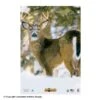 NiceTargets Deer Targets 1 NiceTargets Deer Targets -Barnett Store 8860002 qtraway