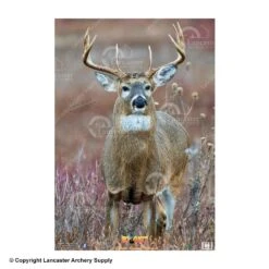 NiceTargets Deer Targets 13 NiceTargets Deer Targets -Barnett Store 8860002 straighton